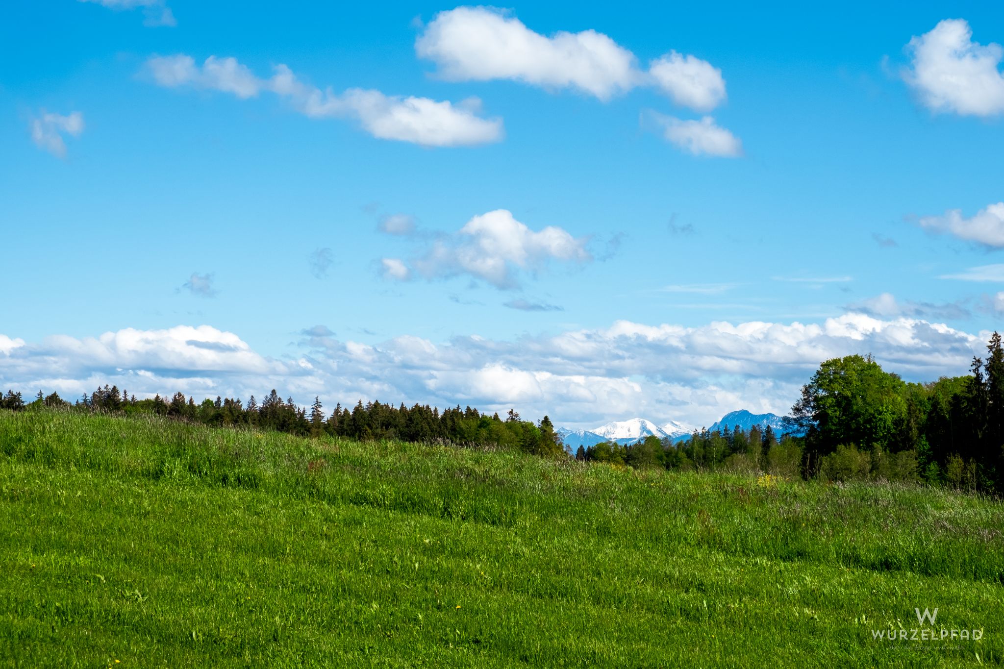 Blick auf den Schafreuther